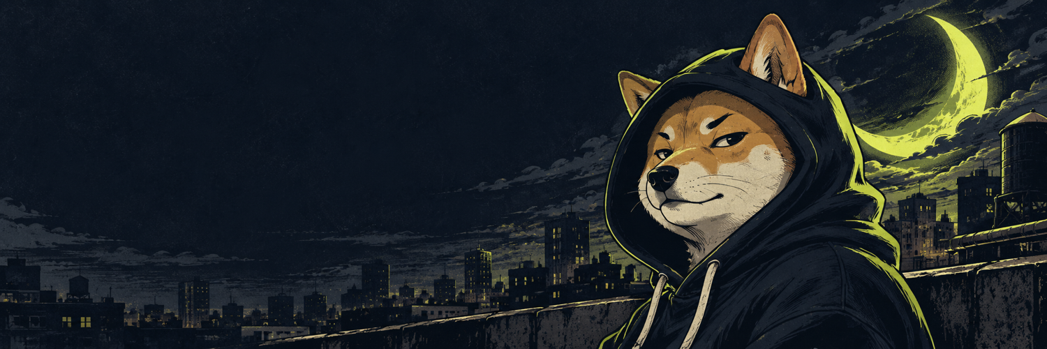 A hooded Shiba Inu watching over a moonlit city from a rooftop
